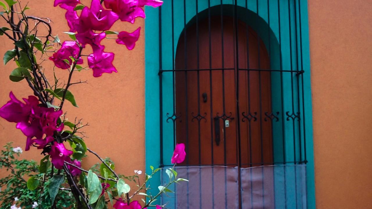 Casa Frida B&B Oaxaca Dış mekan fotoğraf