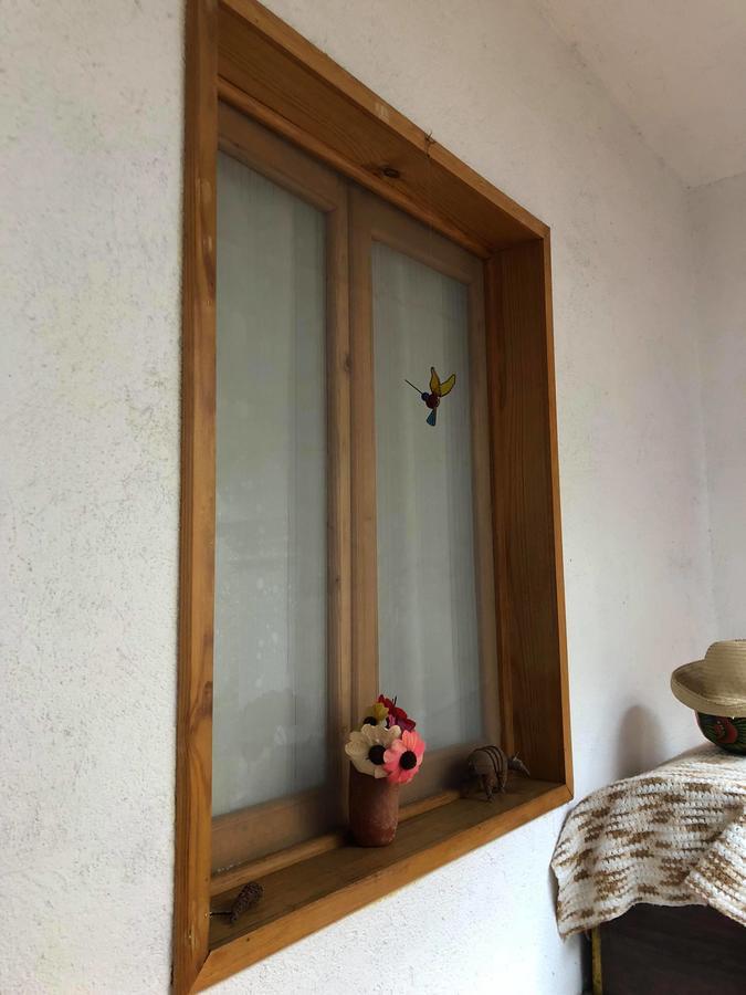 Casa Frida B&B Oaxaca Dış mekan fotoğraf
