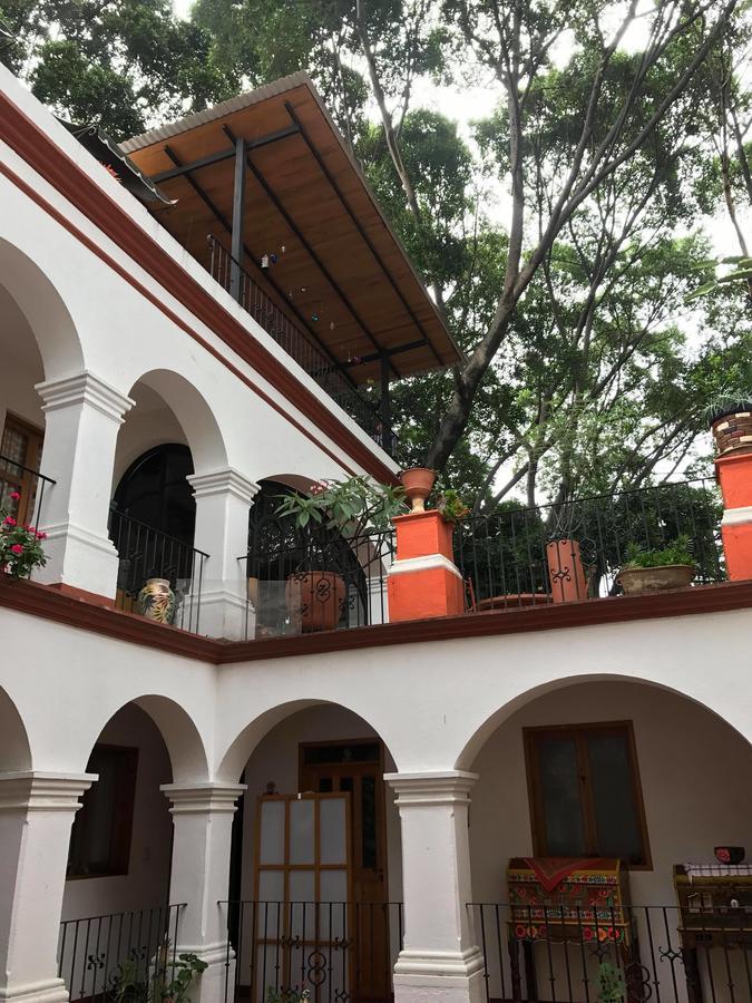 Casa Frida B&B Oaxaca Dış mekan fotoğraf