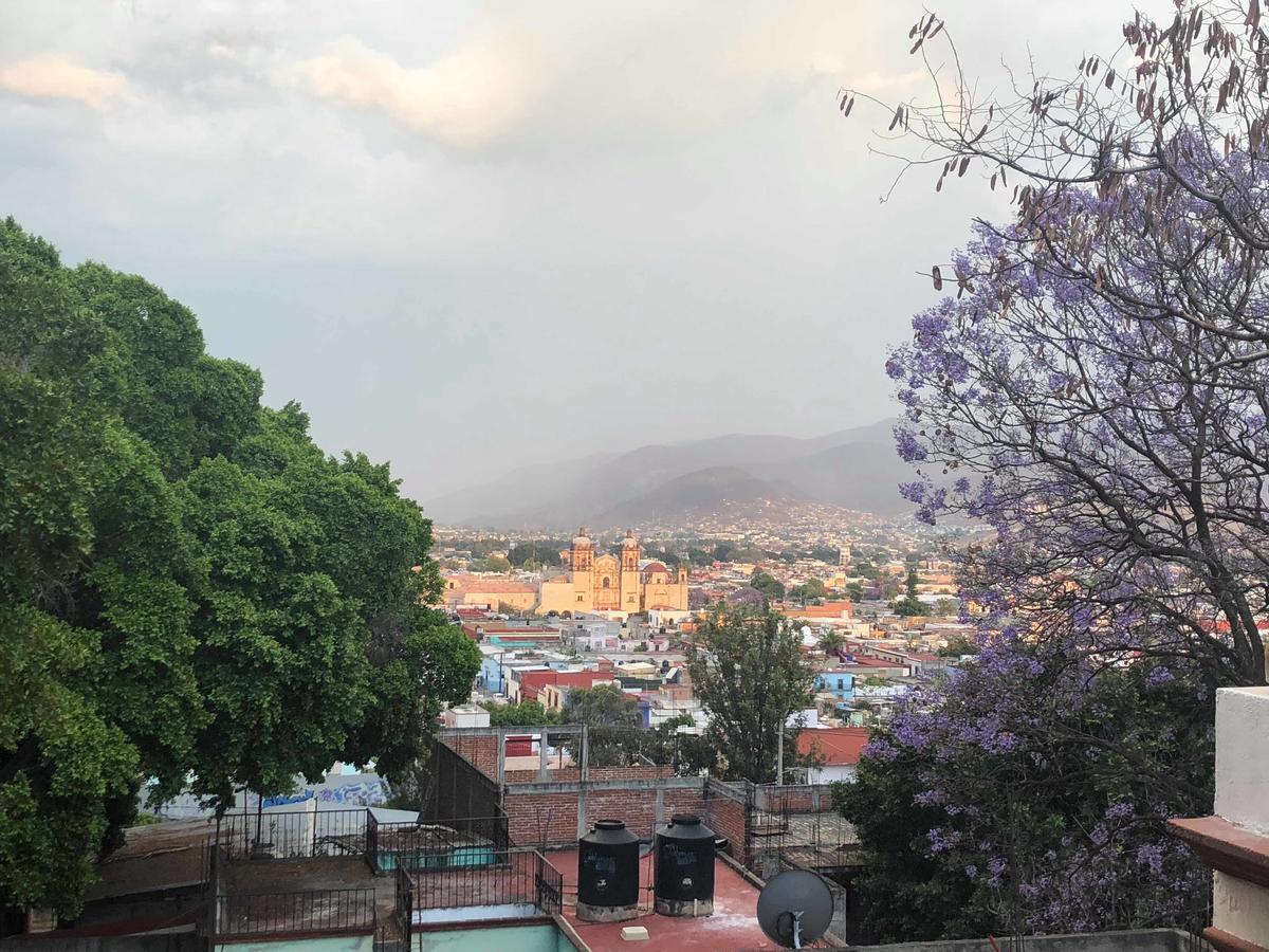 Casa Frida B&B Oaxaca Dış mekan fotoğraf