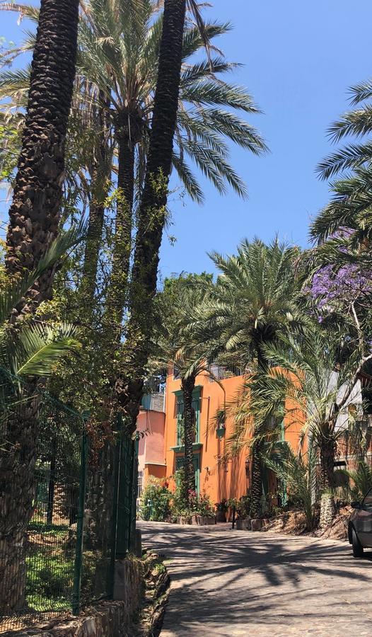 Casa Frida B&B Oaxaca Dış mekan fotoğraf