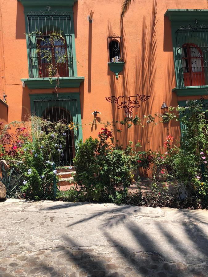 Casa Frida B&B Oaxaca Dış mekan fotoğraf