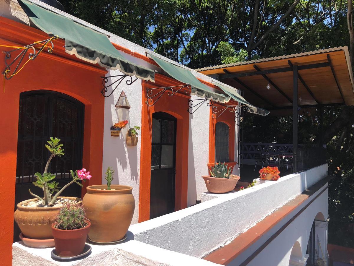 Casa Frida B&B Oaxaca Dış mekan fotoğraf